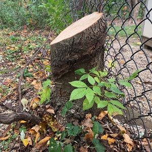 Meet your Posher, Thomas